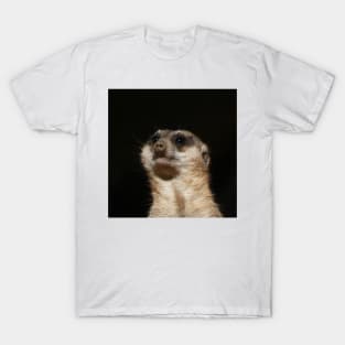 Meerkat 032 T-Shirt